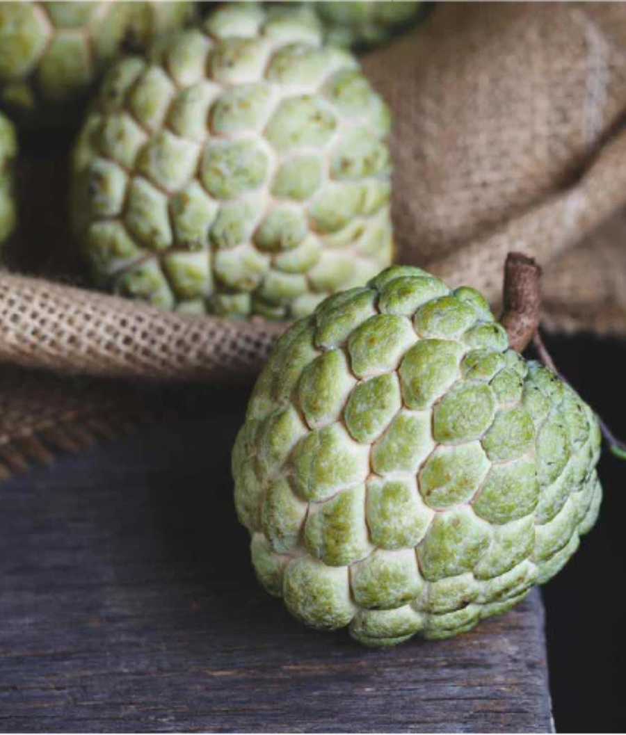 Custard-Apple